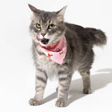 Matching Red Bamboo Christmas Polar Bear Pet Bandana by Bellabu Bear - Detail View