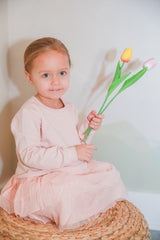Organic Girl Sweatshirt Dress | Pink Ruffle by The Honey and Bro Co. - Detail View