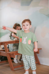 Gingham Carrot Patch Embroidered Boy Shorts Set - Baby & Toddler Clothing | The Honey and Bro Co