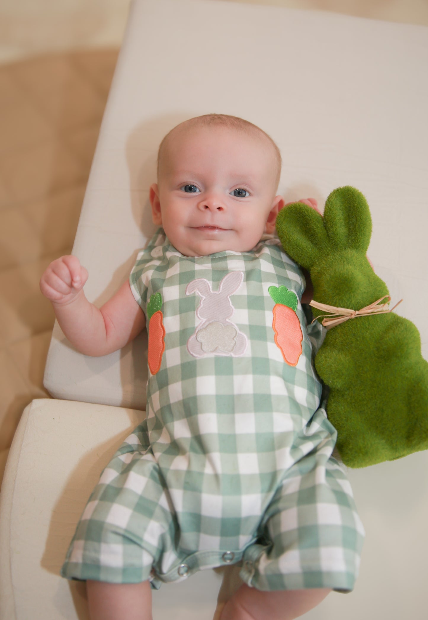 Gingham Carrot Patch Embroidered Baby Boy Johnny - Baby & Toddler Clothing | The Honey and Bro Co