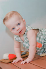 Gingham Carrot Patch Embroidered Baby Boy Johnny by The Honey and Bro Co. - Back View