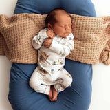 Dragon Organic Cotton Growsuit Zippy Romper - Flat Lay Styled