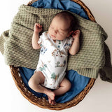 Dragon Organic Cotton Short Sleeve Bodysuit - Front View
