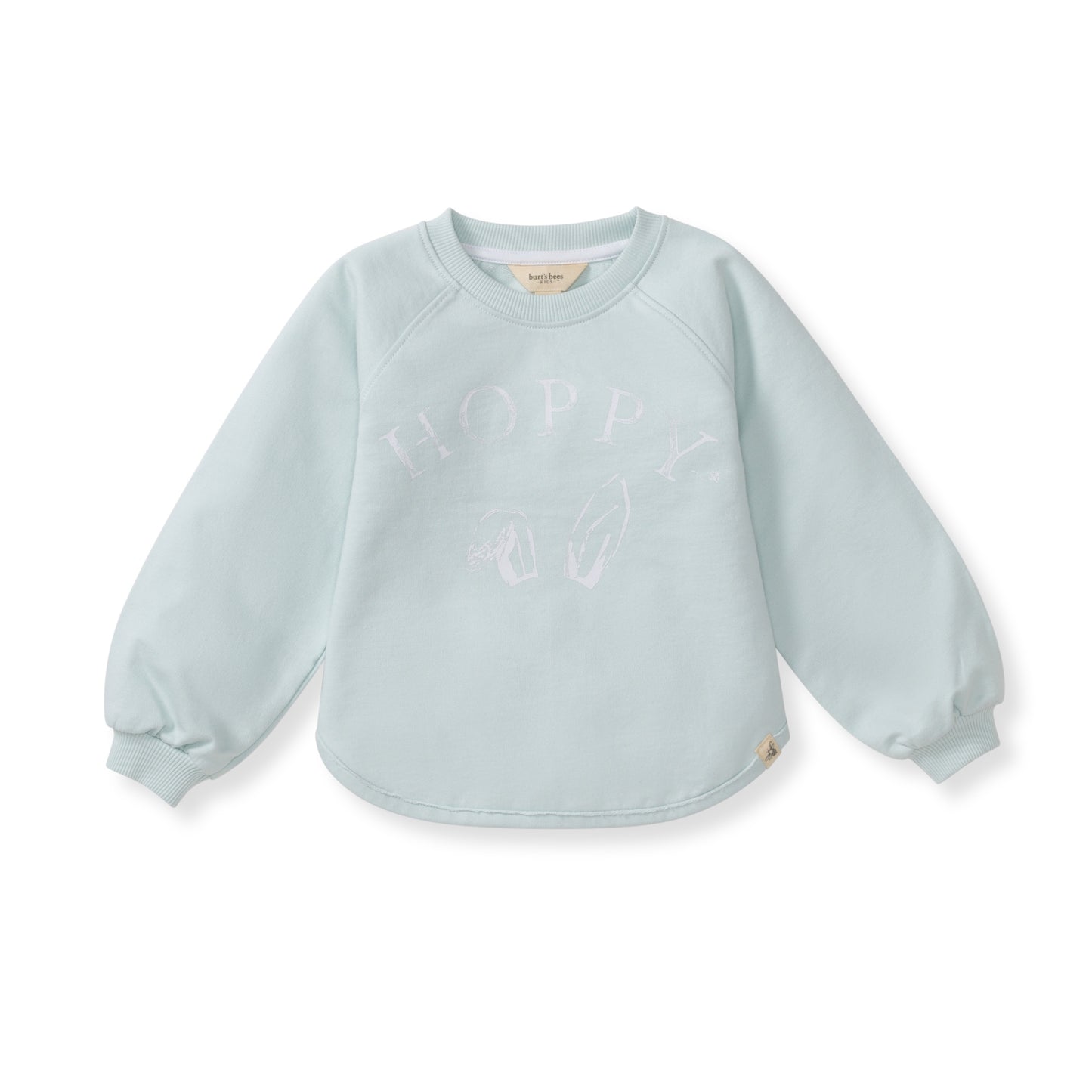 Hoppy Blue Organic Cotton Sweatshirt | Boys Easter - Baby & Toddler Clothing | The Honey and Bro Co