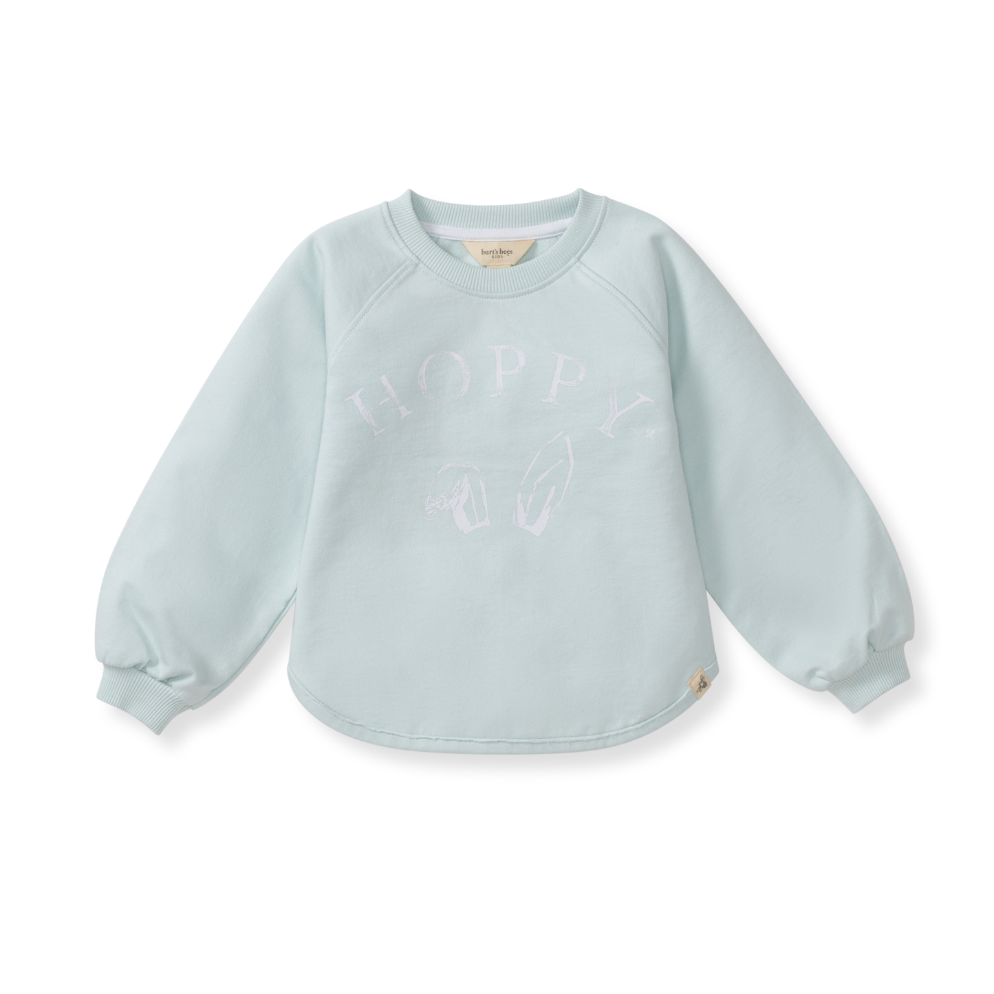 HOPPY BLUE ORGANIC COTTON SWEATSHIRT by Burt's Bees Baby - Front View - Easter Baby Clothing